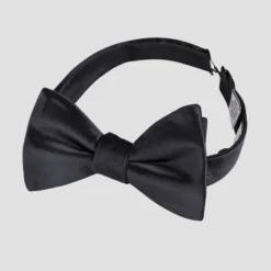 Men's Pre-Tied Satin Bow Tie - Goodfellow & Co™ Black One Size